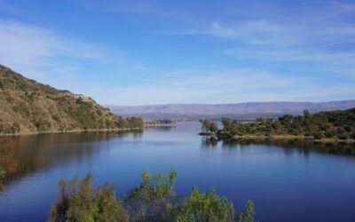 Mesoterapia en Córdoba: El Ritual de Precisión que Devuelve la Luminosidad a tu Piel